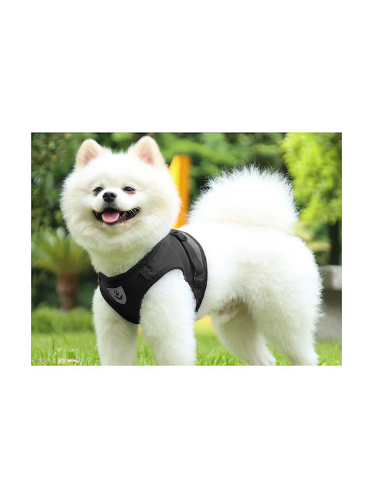 Hundegeschirr Schwarz Klein