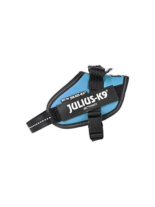 Julius K9 Hundegeschirr Idc Acquamarina Size Mini.mini Light Blue 40-53CM