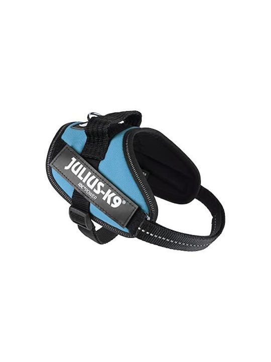 Julius K9 Hundegeschirr Idc Acquamarina Size Mini.mini Light Blue 40-53CM
