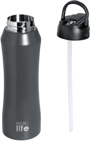 Ecolife Recyclable Bottle Thermos Stainless Steel / Plastic BPA Free 550ml Gray with Straw