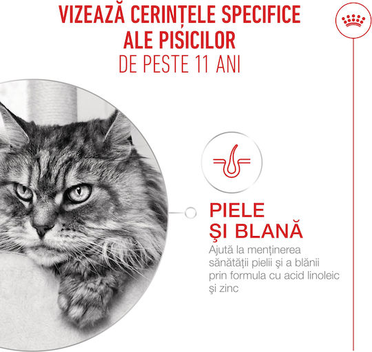 Royal Canin Dry Food for Senior Cats 4kg