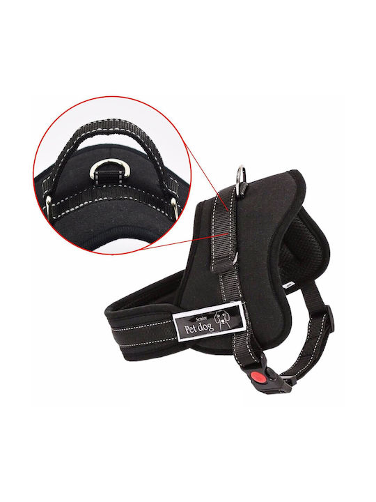Ham Dogs Senior Dog S 60 75cm
