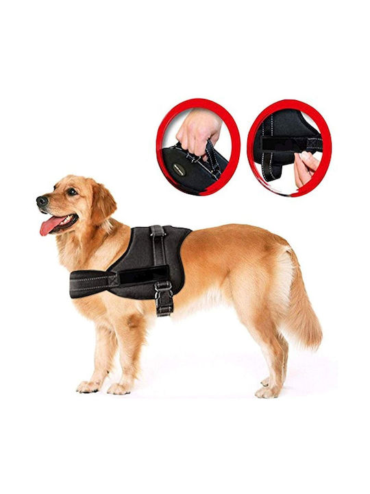 Ham Dogs Senior Dog S 60 75cm