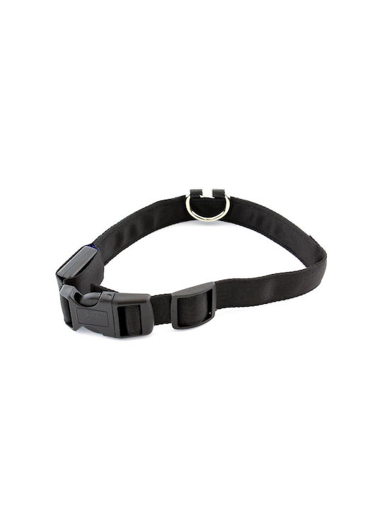 Zgarda iluminată cu LED pentru câini și pisici, culoare albastră Avx-ag232a