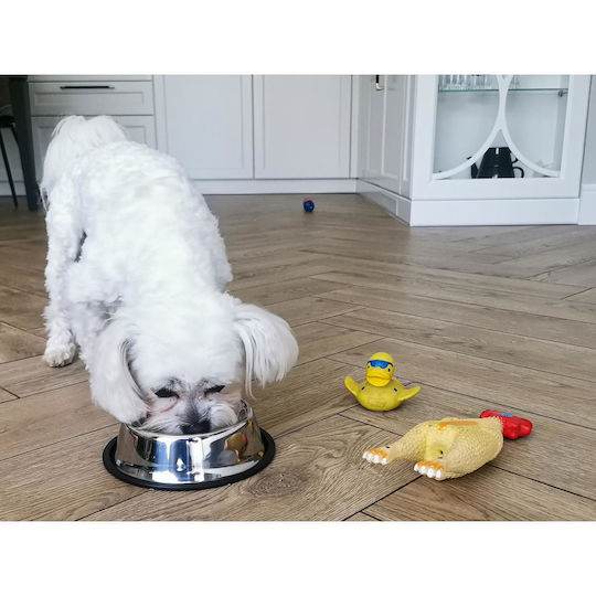 Alista Home Bol Mâncare pentru Câine & Pisică 29cm
