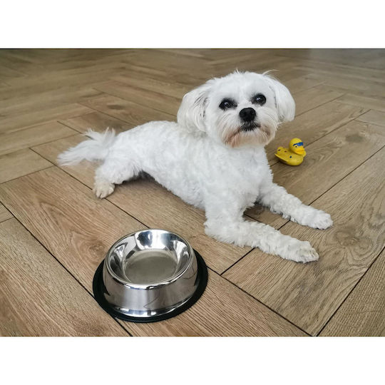 Alista Home Bol Mâncare pentru Câine & Pisică 29cm