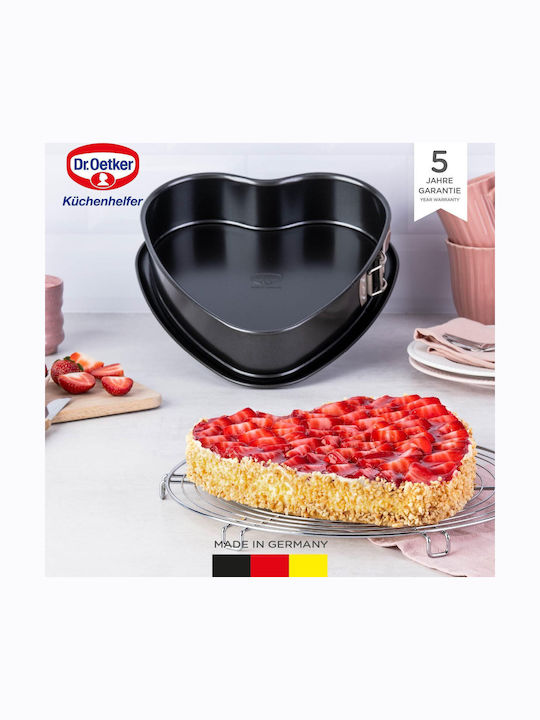 Dr. Oetker Backform Torte 1cm