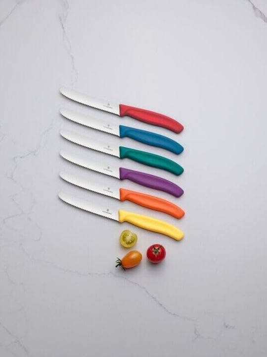 Victorinox Swiss Classic Knives General Use from Stainless Steel 11cm 2pcs