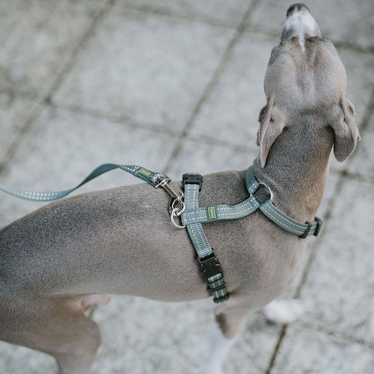 Lesă Hunter Tripoli Mini Neagră 1,10m