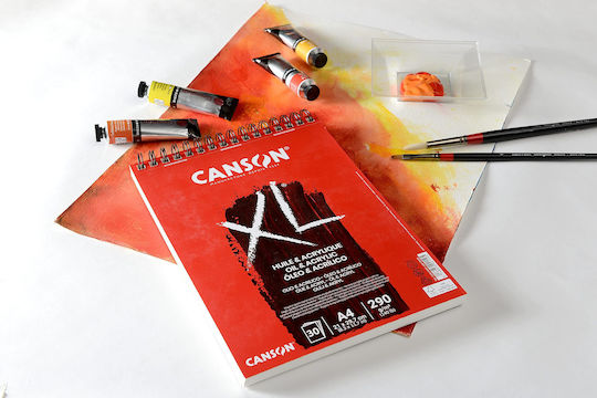 Canson Bloc de Desen Oil & Acrylic 290gsm A4 21x29.7cm 30 Foi