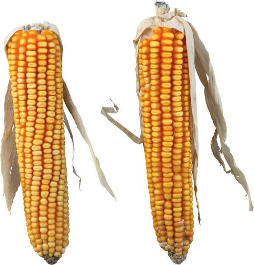 Trixie Treat with Corn for Hamster 500gr