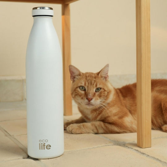 Ecolife Рециклируем Бутилка Термос Неръждаема стомана / Пластмасов Без BPA 1lt Бял