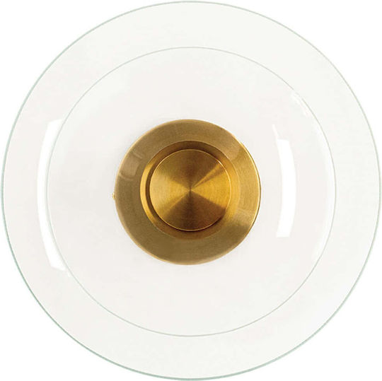 Zambelis Lights Lamp Wall with Integrated LED and Warm White Light Transparent