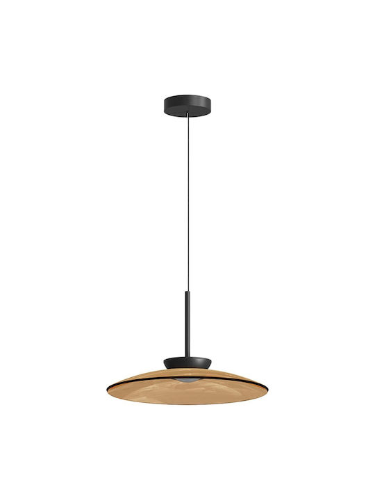 Zambelis Lights Pendant Light Black