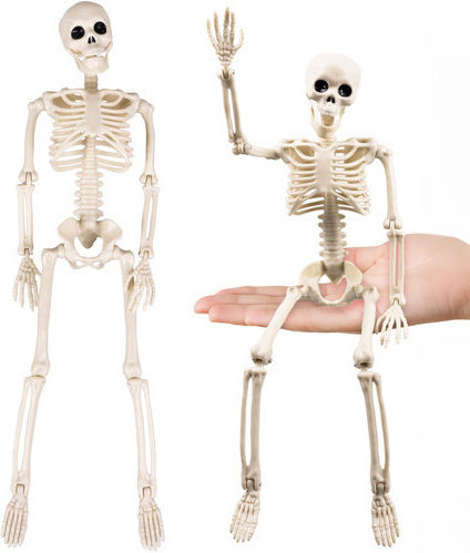 Halloween Skeleton Decoration Zola 40 Cm Hanger Abs White