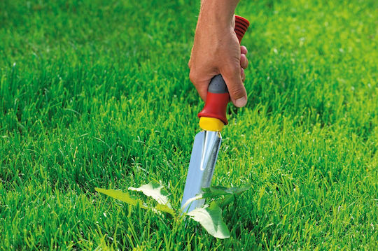 Wolf Garten KS-2K Weed Puller Hand with Pole and Plastic Handle