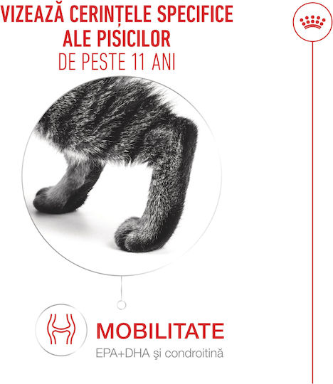 Royal Canin Ageing Υγρή Τροφή για Ηλικιωμένες Γάτες σε Φακελάκι με Κρέας 12x85gr
