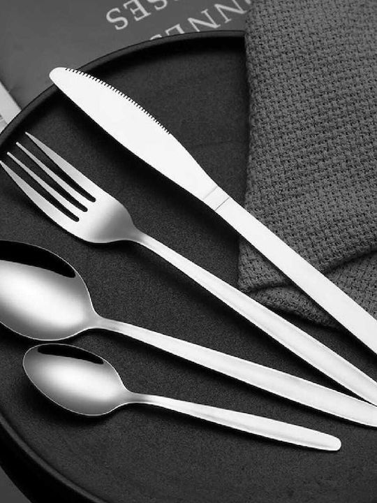 Yuk Spoon Set Desert / Ice Cream Stainless Silver 24pcs