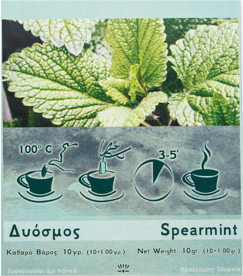Tips & Buds Δυόσμος 10 Φακελάκια