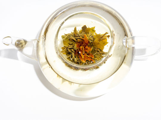 Orange Lilium Πράσινο Τσάι Κίνας Champion