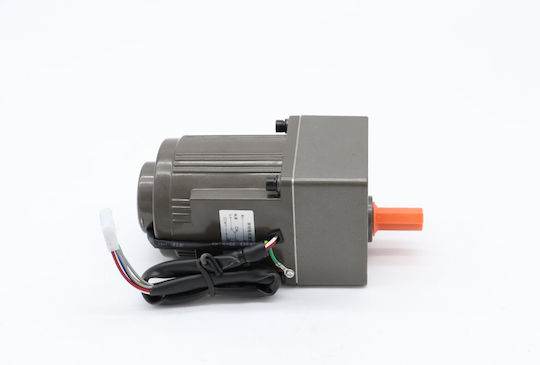 Maxima Motor