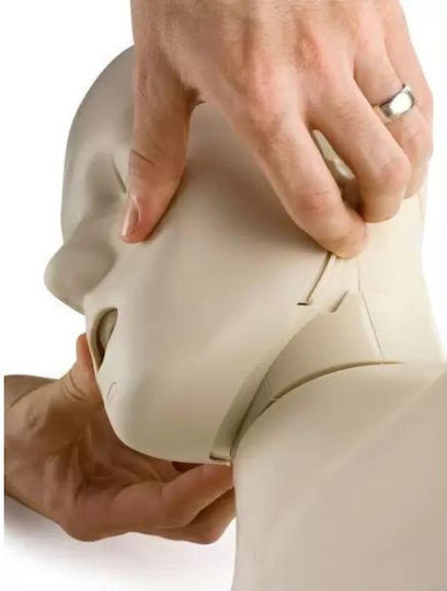 Prestan Adult Jaw Thrust Educational Model