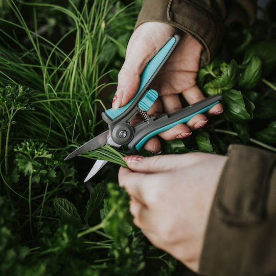 Extralink Hand Garden Tool Set