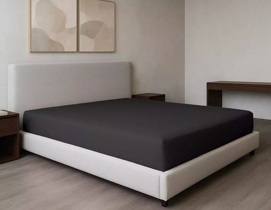 Family Enterprise Sheet King Size with Elastic 180x200+35cm. Black