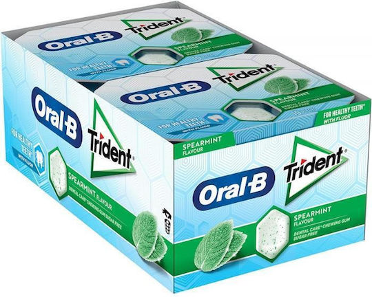 Trident Τσίχλες με Γεύση Δυόσμος 12τμχ 17gr