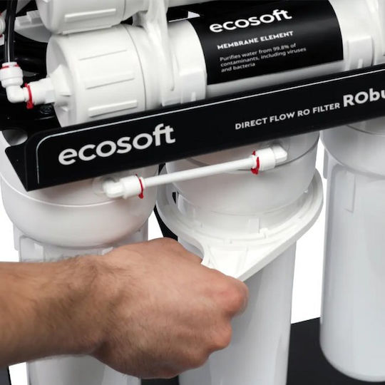 Ecosoft Επαγγελματικό Φίλτρο Παροχής Robust