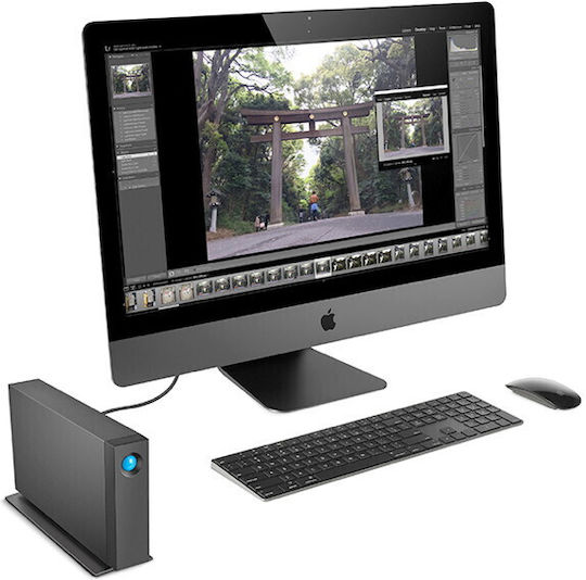 Lacie d2 Professional USB-C Extern HDD 30TB 3.5" Negru