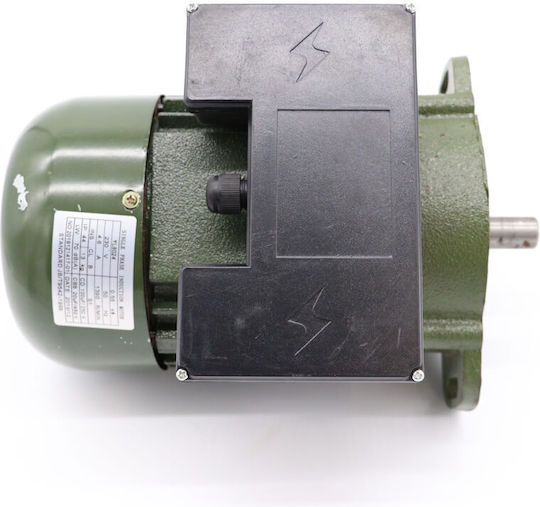 Maxima Motor