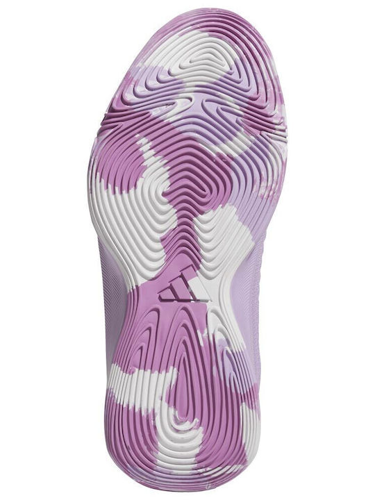 Initiation Low Basketball Shoes Purple