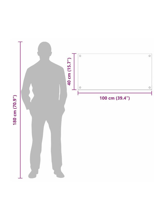 vidaXL Rectangular Glass Back Dark Gray 100x40cm 3415467 2 Pieces