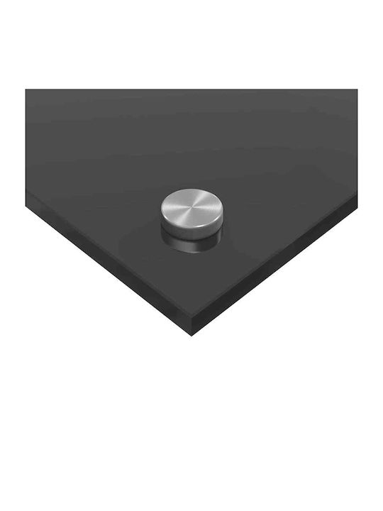 vidaXL Spătar Rectangular din Sticlă Gri Închis 120x50cm 3415510 2 bucăți