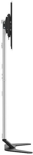 Equip 650614 TV Mount Floor up to 86" Silver