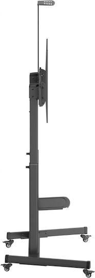 Gembird TVS-100T-03 Стойка за телевизор Подов до 100" и 34кг