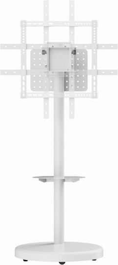 Gembird TVS-86TR-01-W Βάση Τηλεόρασης Δαπέδου έως 86" και 50kg Λευκό