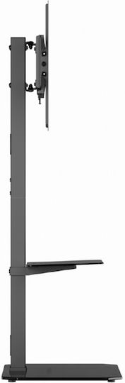 Gembird TVS-86ST-01 Βάση Τηλεόρασης Δαπέδου έως 86" και 60kg Μαύρο
