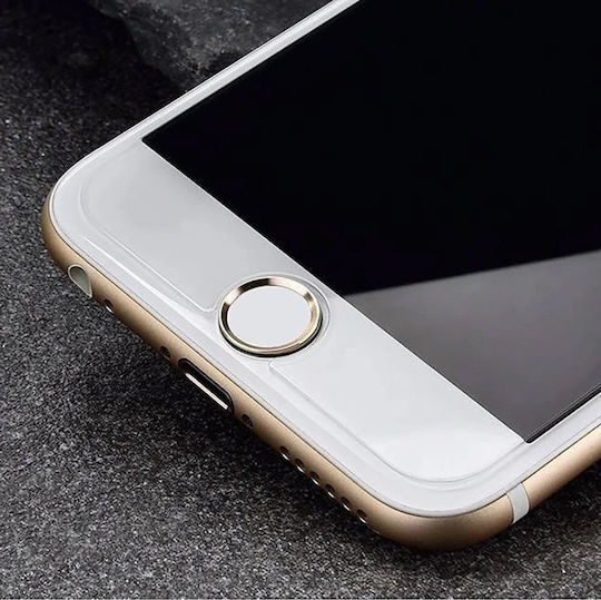 Wozinsky Gehärtetes Glas (iPhone 17 Pro Max / iPhone 17 Pro / iPhone 16 Pro Max)