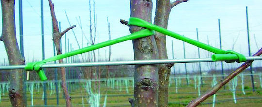 Tree Growing Cord 6 mm 1 kg