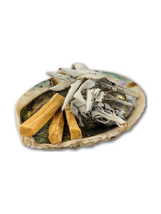 Smudge Set Palo Santo Φασκόμηλο Κοχύλι Καθαρισμό Χώρου Αύρας