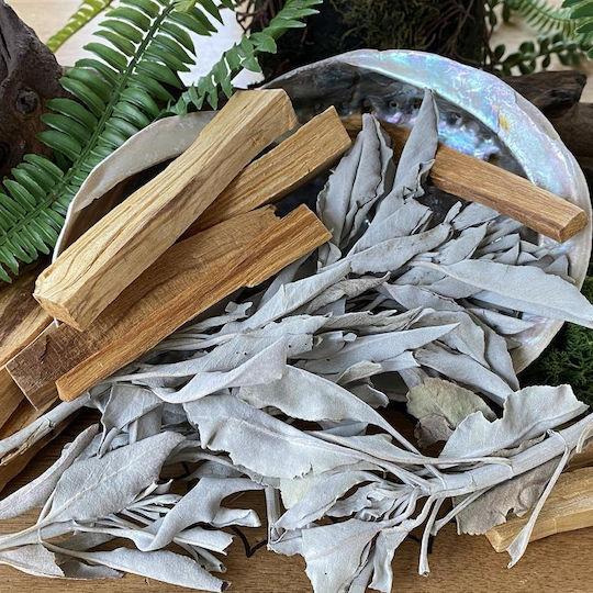 Set Smudge Palo Santo Salvie Scoică Curățare Spațiu Aură