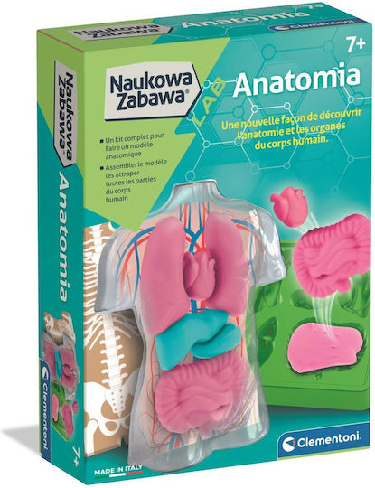 Clementoni Anatomy Εκπαιδευτικό Παιχνίδι Γνώσεων