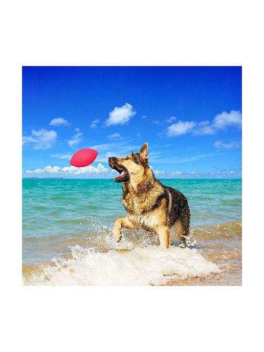 Ballspielzeug Hund Rosa 1Stück