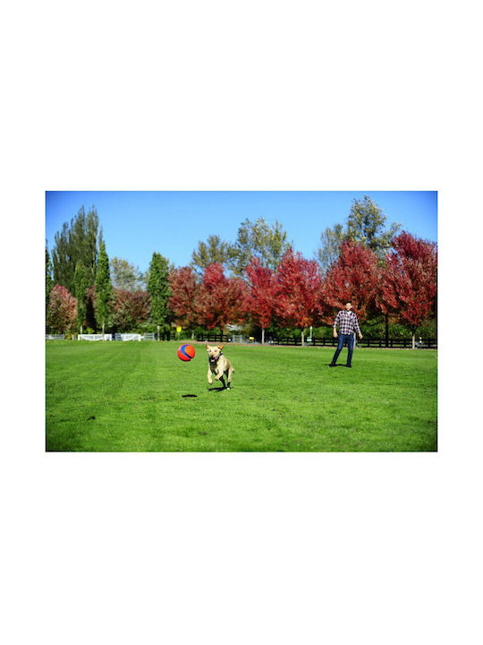 Chuckit Fetch Παιχνίδι Σκύλου Small 1τμχ