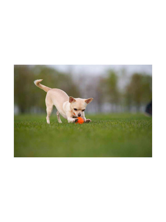 Doggy Village Ball Toy Dog 1pcs