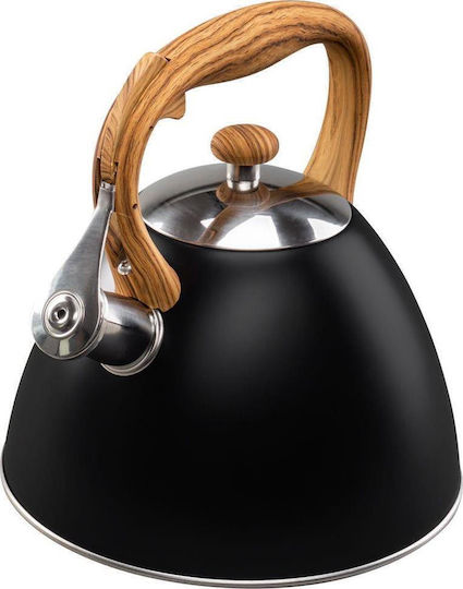 Vilde Teekessel 3000ml