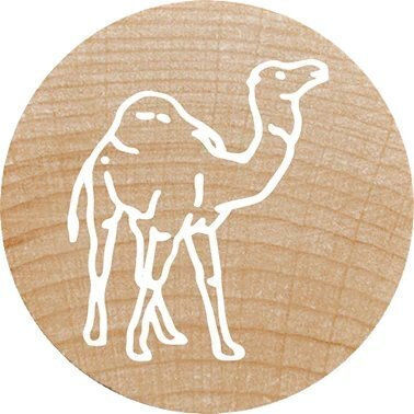 Colop Woodies Stamp Set "exotic Animation" Retail