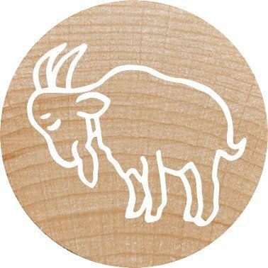 Colop Woodies Stamp Set "farm Animation" Retail